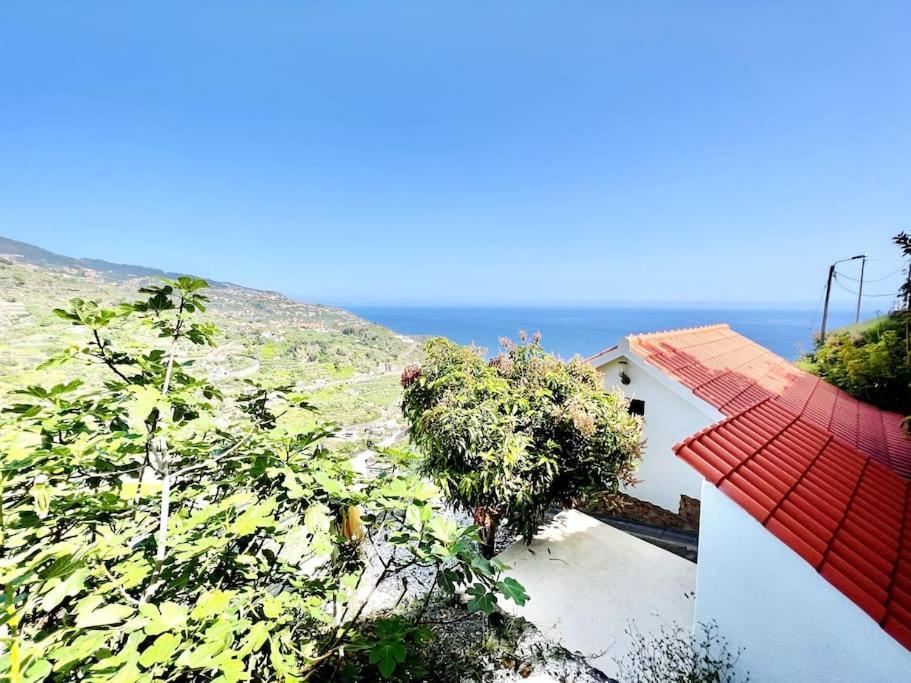 Mar A Vista By Your Madeira Rentals 폰타도솔 외부 사진